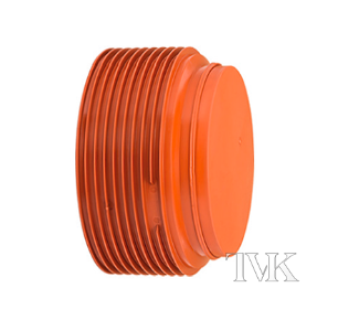 �������� InCor