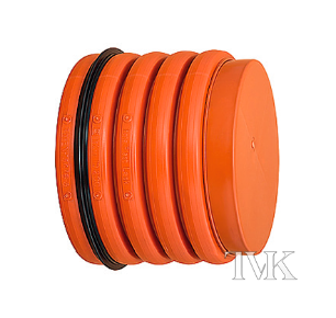 �������� (������) InCor