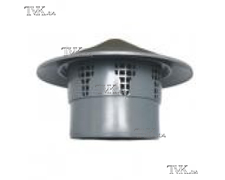 ������ ��