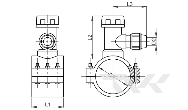 ����� ��� ������ ��� ���������